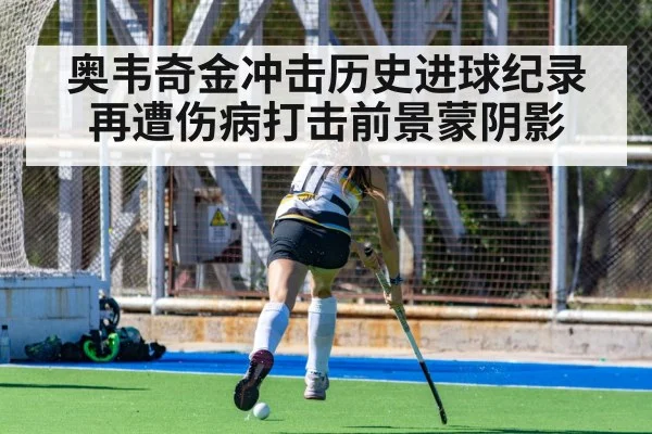 奥韦奇金冲击历史进球纪录再遭伤病打击前景蒙阴影 - kaiyun sports