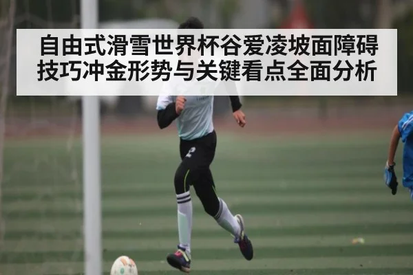 自由式滑雪世界杯谷爱凌坡面障碍技巧冲金形势与关键看点全面分析 - kaiyun sports